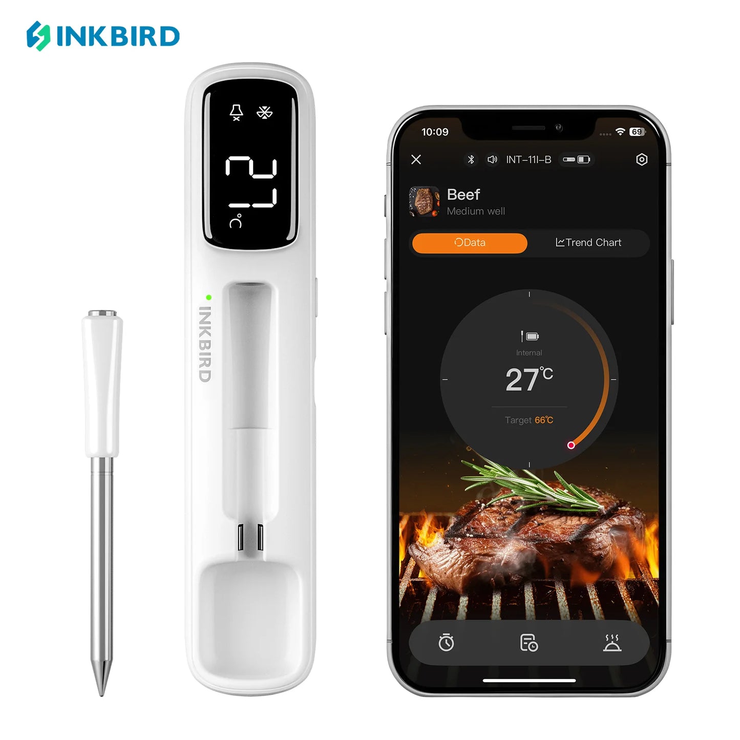 Mini Wireless Meat Thermometer