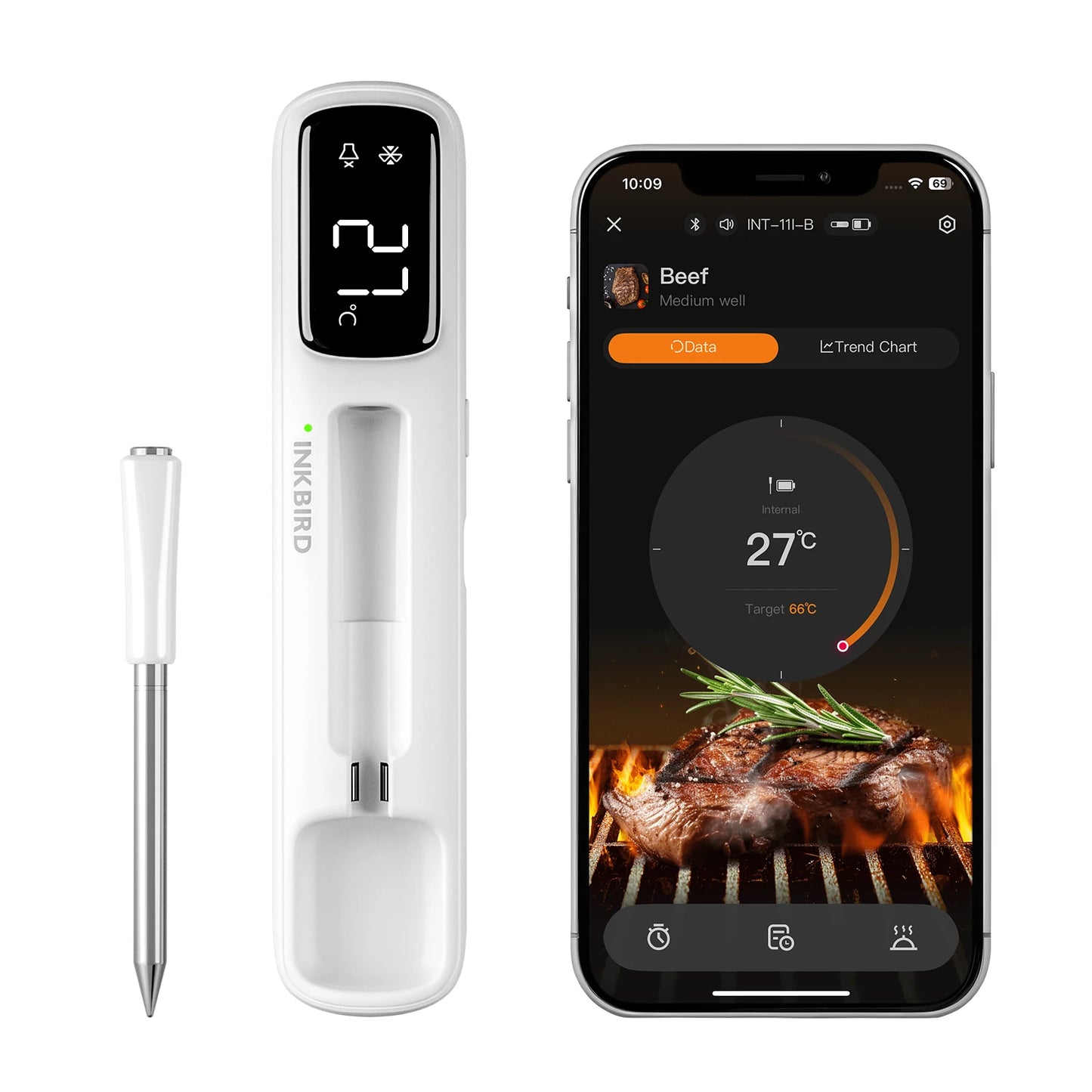 Mini Wireless Meat Thermometer